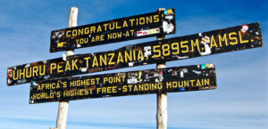 training-for-kilimanjaro-successful-summit